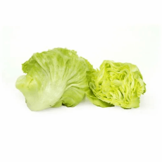 Lettuce